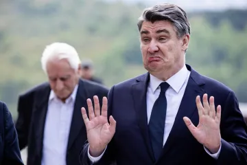 'On zbilja nije fikus. On je kaktus mimoza; Na momente se ponaša kao da je preplašen istragom. To me najviše brine...'