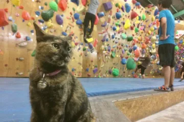 Gledala je penjače pa je ubrzo počela opona&scaron;ati njihove pokrete