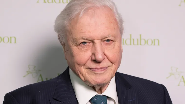 Legendarni prirodoslovac David Attenborough upozorava: 'Kapitalizam treba obuzdati kako bismo spasili prirodu'