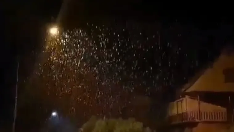 Snijeg pada u Tr&scaron;ću napravio, stvorio se tanki pokrivač