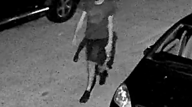 VIDEO Jeste li ga vidjeli? Policija traži ovog mu&scaron;karca koji je odgovoran za nedavni incident