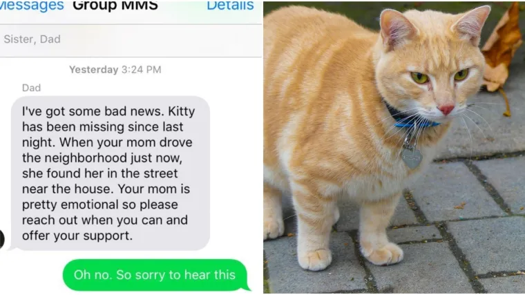 Obitelj mislila da je zakopala svoju mačku, ali onda je uslijedio &scaron;ok; 'Kakav vrtuljak emocija'&nbsp;