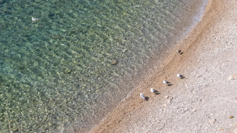 Počeo je tjedan jeftinijih odmora: 'Ponuda je odlično prihvaćena, prvi gosti već stižu'