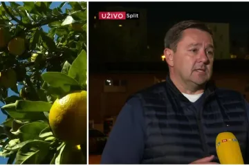 RTL-ova ekipa s inspekcijom u Opuzenu! Mikulić u Danasu: 'Ove godine ni u jednoj pošiljci nije bilo nepravilnosti'
