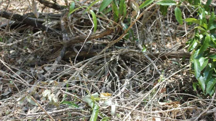 Dobro ćete se namučiti dok ih ne pronađete na ovim fotografijama