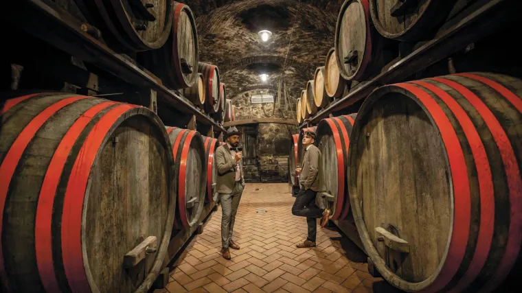 POSJETITE MEĐIMURSKE VINSKE CESTE, UŽIVAJTE U ODLIČNOJ KAPLJICI I DELICIJAMA TOG KRAJA