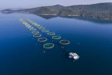 Domaća tvrtka bilježi rekordnu prodaju, a 2020. su osvojili i nagradu za inovaciju godine