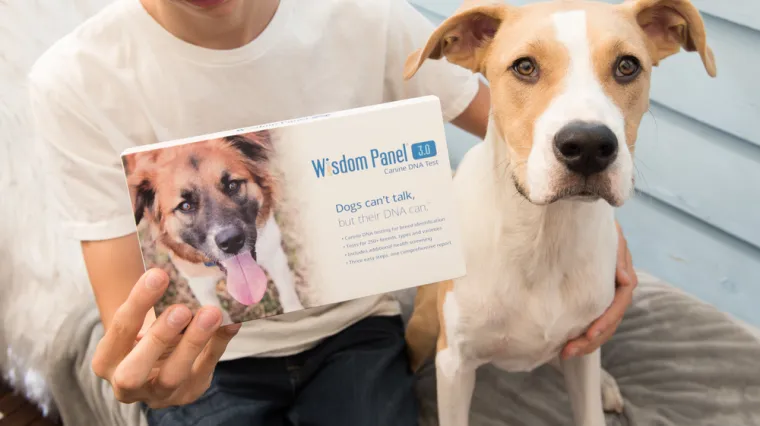 'Sada bolje razumijemo odakle im tolika privrženost ljudima'