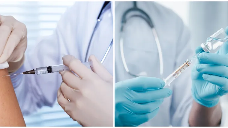 Znate li &scaron;to se sve koristi za stvaranje cjepiva? Neki sastojci otkriveni su slučajno, a za jedan su posebno važni morski psi