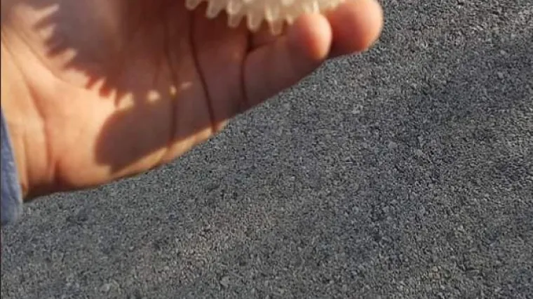 Hrvat se vrhunski na&scaron;alio s predmetom koji odjednom vi&scaron;e nikomu nije simpatičan