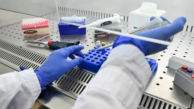 Znanstvenici vjeruju da analizom mogu predvidjeti vrhunac bolesti