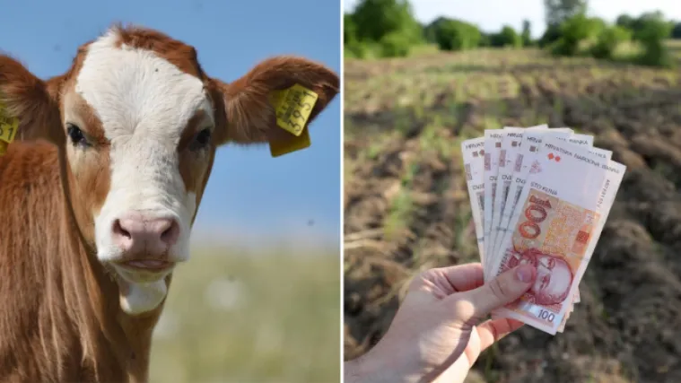 Iako su pobijedili na Ustavnom sudu, poljoprivrednici su i dalje nezadovoljni. Potraga istražuje kako se dijele milijarde kuna