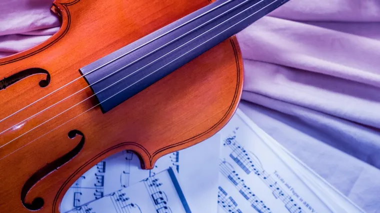 Gudački kvartet odlučio je uveseliti ljude za vrijeme pandemije, no ima jedna 'kvaka'