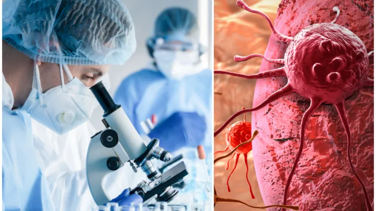 Uz pomoć 'trojanskog konja' ubijaju stanice raka: 'Radi kao kemoterapija, ali bez nuspojava'