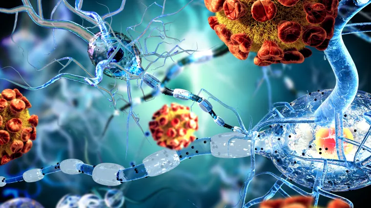 Na&scaron; ugledni akademik: 'COVID utječe i na mozak, no posljedice ćemo znati tek za 20 godina'