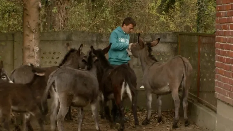 Ima samo 15 godina, a već je pokrenuo biznis! Upoznajte poljoprivrednika Lovru koji proizvodi magareće mlijeko, a po litri zaradi do 250 kuna