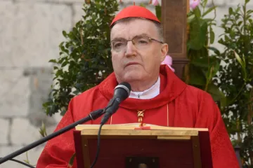 'Epidemiju ne treba dramatizirati, ali ni relativizirati'