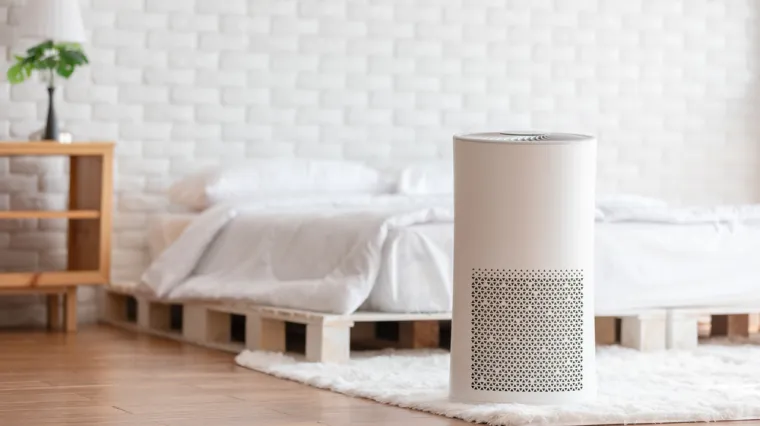 Ne morate trošiti novac na uređaje za filtriranje zraka, dovoljno je napraviti ovo