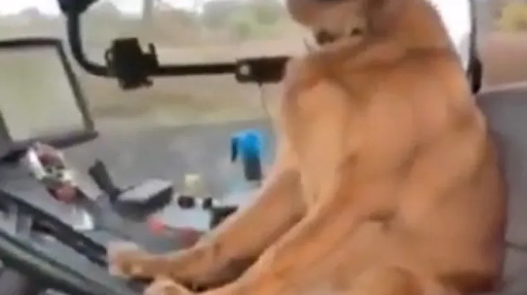 'Ima bolji životopis od mene'