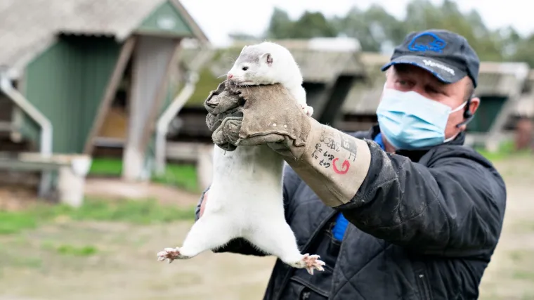 Zvijeri same izlaze iz grobnica, a stvarnost je alarmantija od zombi-apokalipse