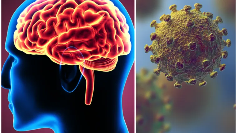Otkrili kako virus ulazi u mozak; Zbog toga se javljaju glavobolje, gubitak mirisa, okusa...