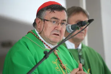 Kardinal Puljić je u bolnici zbog zaraze koronavirusom: 'U stabilnom je stanju'