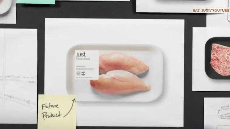 Je li meso iz laboratorija budućnost? Start up u San Franciscu uzgojio piletinu iz stanice fetusa koko&scaron;i