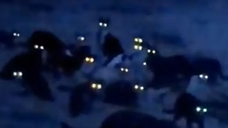 Kako biste vi reagirali na ovaj jezivi prizor?