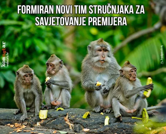 Puno sreće u daljnjem radu