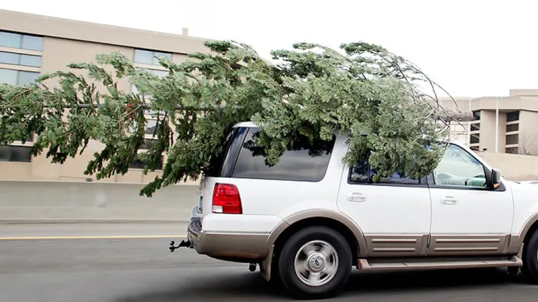 Prodaja jelki porasla je vi&scaron;e nego ikada, prodavači obja&scaron;njavaju taj fenomen: Božićno drvce je taj svjetionik nade