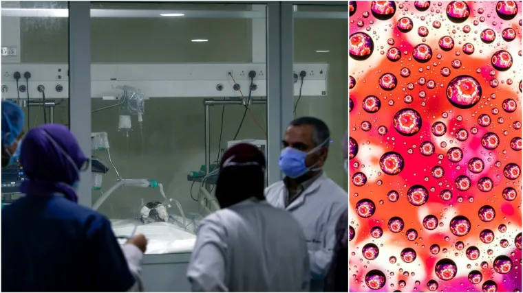 Znanstvenici vjeruju da se u organizmu događa jedan čudan fenomen