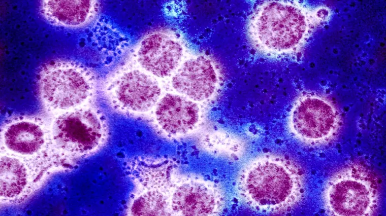 Nije ništa neobično, ali britanski soj se širi brže; Ipak, to ne mora biti loše