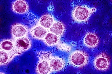 Nije ništa neobično, ali britanski soj se širi brže; Ipak, to ne mora biti loše