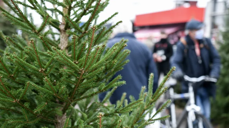 Prodavačica borova nahu&scaron;kala mladiće da pretuku njezinog kolegu kojem je bolje i&scaron;la prodaja
