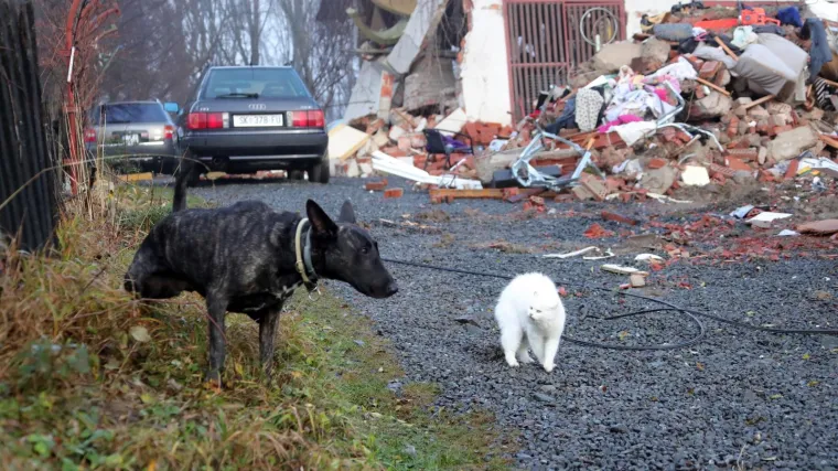 Zbog potresa aktiviran mehanizam Europske unije za civilnu za&scaron;titu