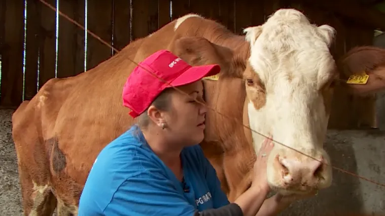 Ove žene, osim &scaron;to brinu za svoju obitelj i kuću, bave se i poljoprivredom
