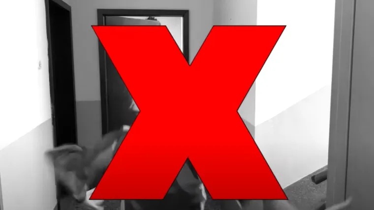 U pet minuta naučite gdje potražiti zaklon i što napraviti kad se dogodi potres