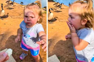 KAD IMAŠ DJECU NE POSTOJE DOSADNI DANI: Roditelji urnebesnim fotografijama otkrili s čime se svakodnevno susreću