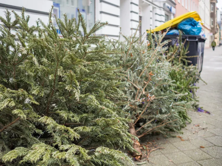 Svećenik za Net.hr otkrio kada raskitit bor: 'Ljude je strah dočekati pravoslavni Božić'