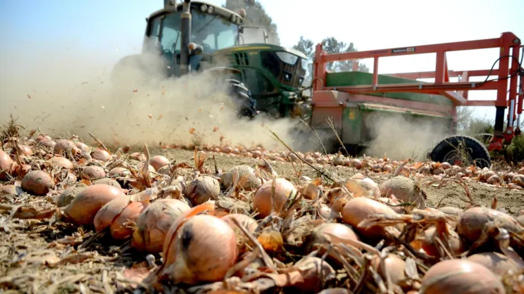 Ovo je popis OPG-ovaca iz Banije: 'Neka im neizvjesnost egzistencije bude manja'