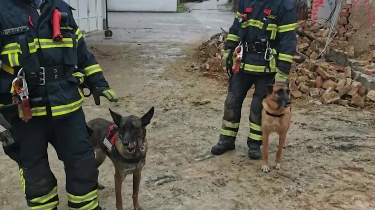 Ovo su Ita i Rejn i nedavno su se vratili s Banovine! Kada im stave opasače, pokazuju da su spremni za jo&scaron; te&scaron;kih terena