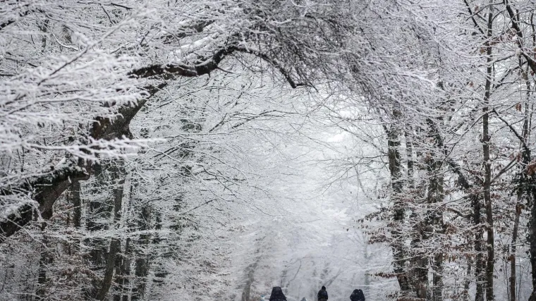 I Europa na udaru ledenog vala! Posljednji put polarni vrtlog dogodio se 2014., a temperature su i&scaron;le do - 27
