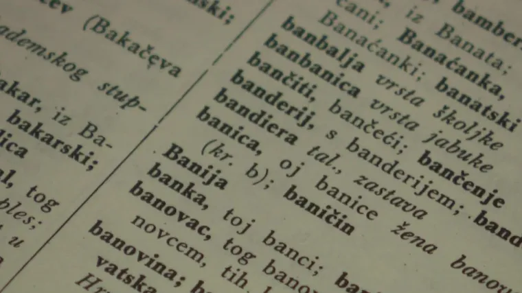 Je li potres razorio Baniju ili Banovinu?  Za Dubravku &Scaron;uicu to je sad ključno političko pitanje pa je RTL Direkt potražio odgovor