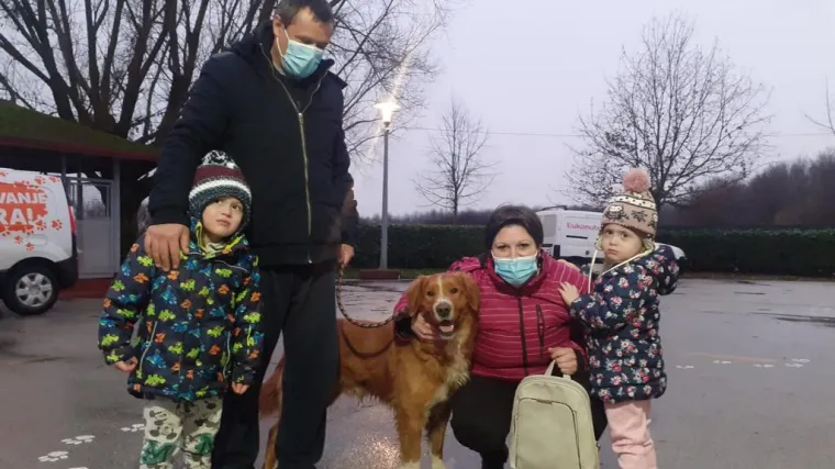 Pas Bobi odmah nakon priloga u RTL Direktu udomljen iz azila u Dumovcu: 'Dobar je i pun ljubavi'