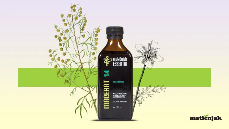 ZNANSTVENICI DOKAZALI UČINKOVITOST SLATKOG PELINA NA KORONAVIRUS