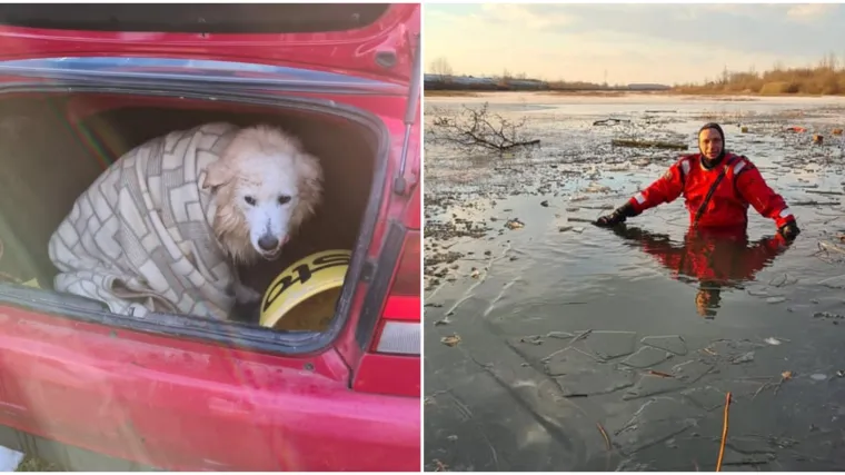 Zagrebački vatrogasci spasili psa Kana iz zaleđenog jezera: 'Malo sam bio nesta&scaron;an i pao u ledenu vodu'