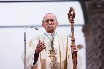 Zamjenik Alemke Markotić govorit će o toj temi na skupu Hrvatske biskupske konferencije