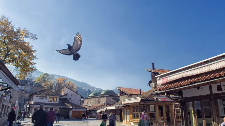 Smatraju da će najvi&scaron;e koristi od toga imati mladi