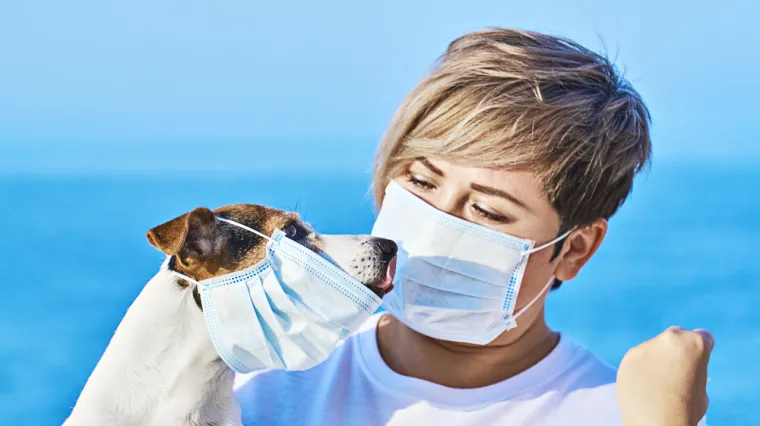 Preboljeli ste COVID-19? Sada možete provjeriti jesu li koronu dobili i va&scaron;i kućni ljubimci