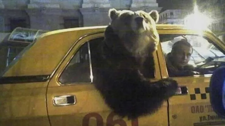 &Scaron;to me gleda&scaron;?